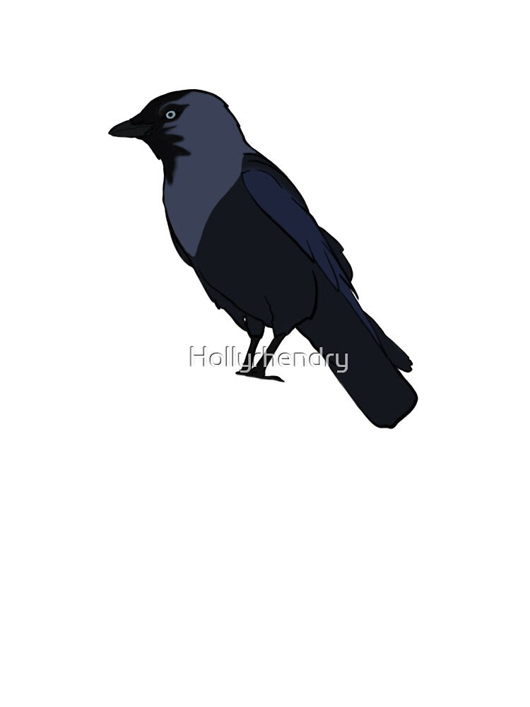 Jackdaw by HollyRebeccah