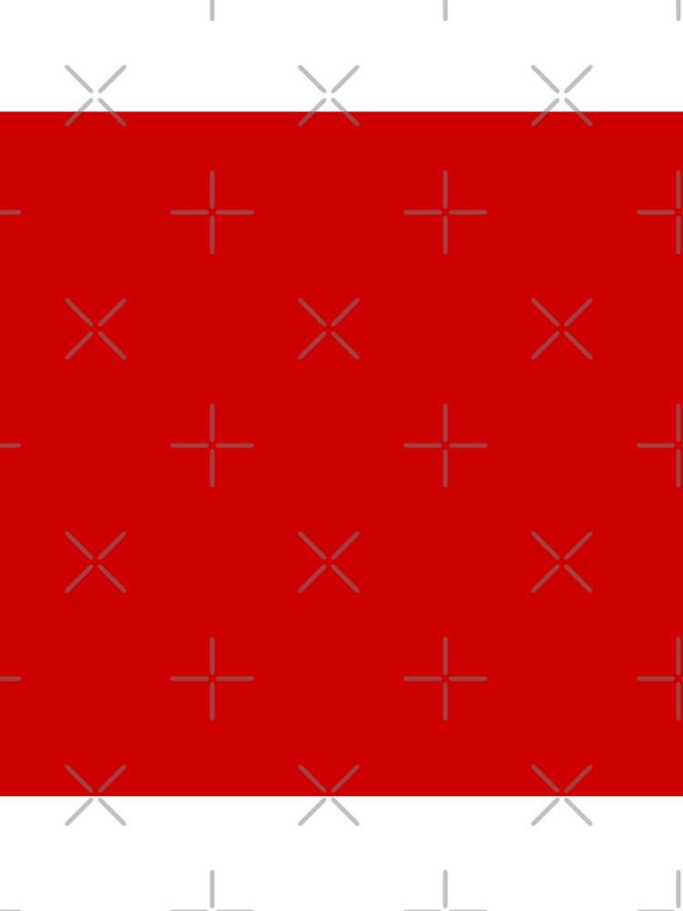 Beautiful Cushions/ Plain Boston Red by ozcushions