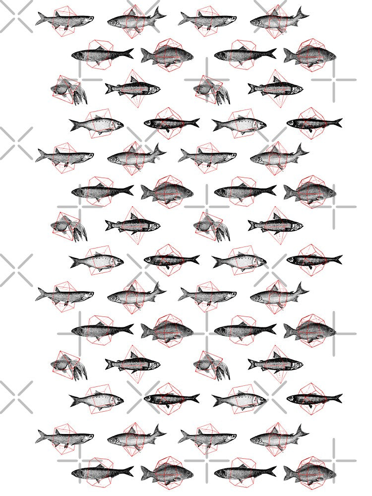 Fishes in Geometrics by florentbodart