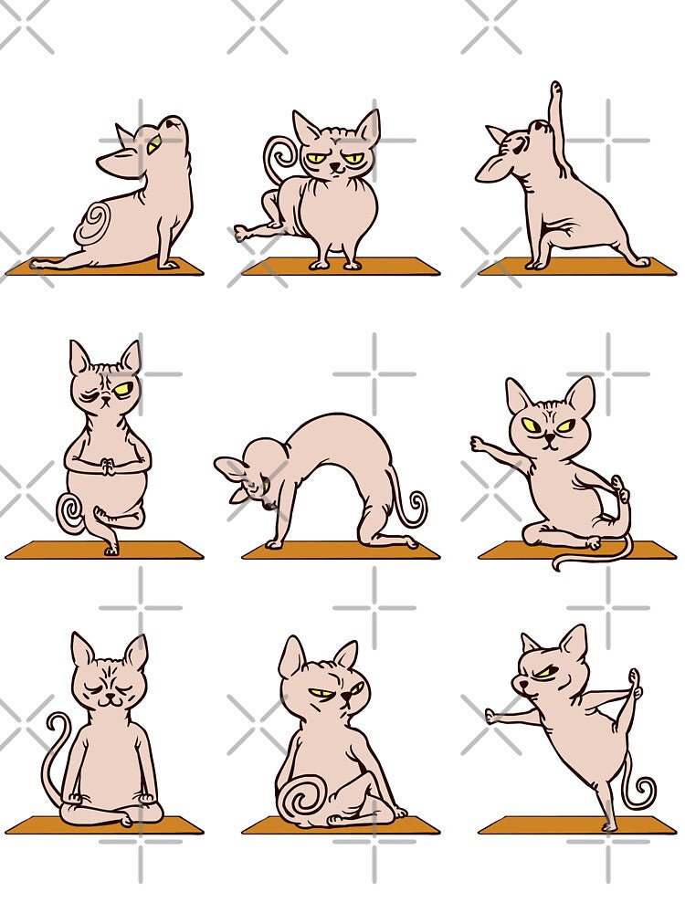 Sphynx Cat Yoga by Huebucket