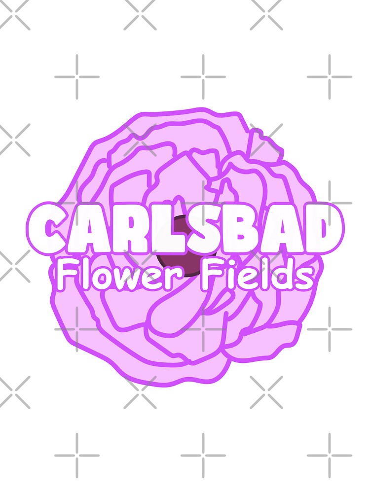 Carlsbad Flower Fields in Purple by Aerodin
