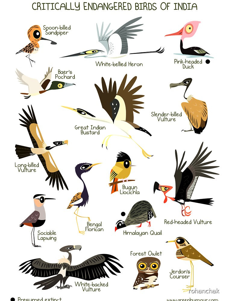 Critically Endangered Birds of India by Green Humour