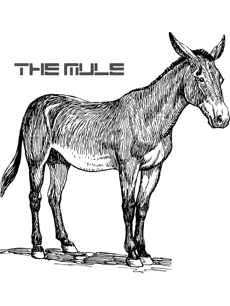 The Mule by yololite