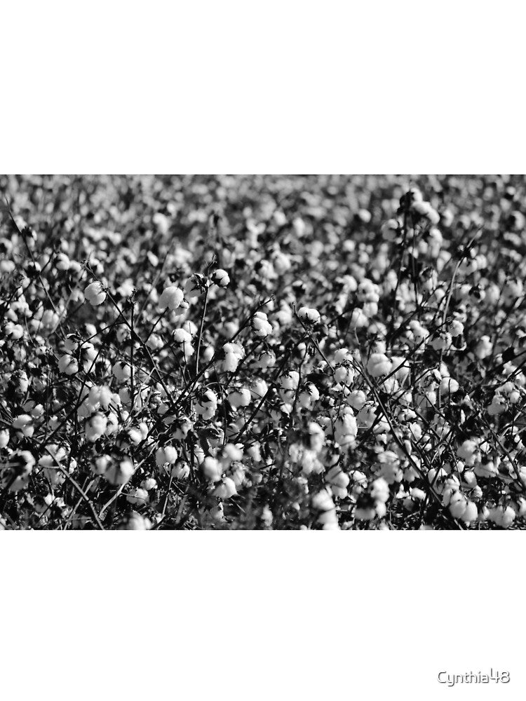 Cotton In Black And White by Cynthia48