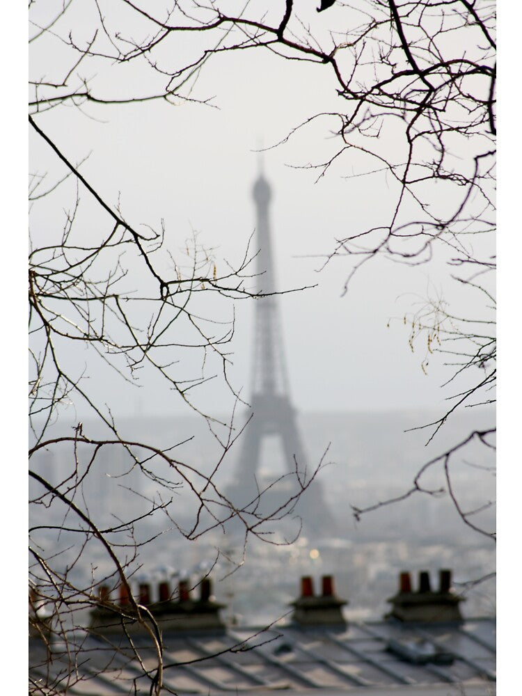 Hiding in plain sight by Photodecora
