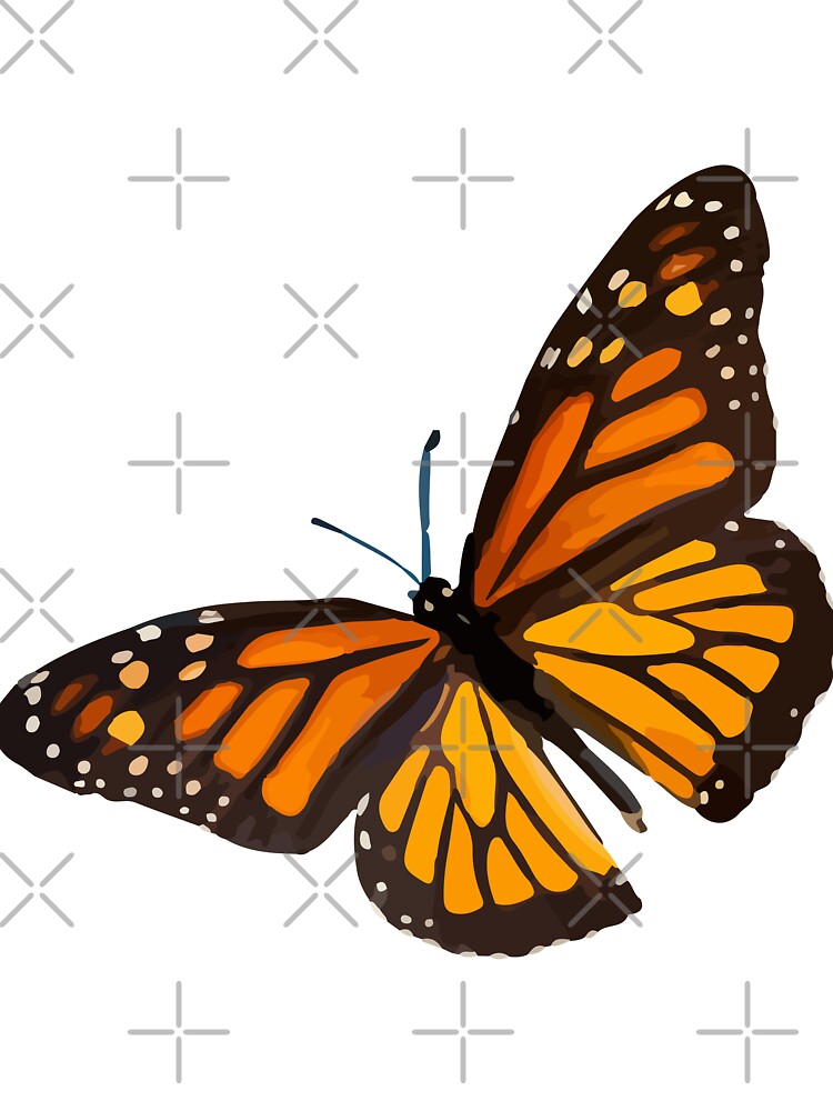 Monarch Butterfly - Burnt Orange by BeThreeDesigns