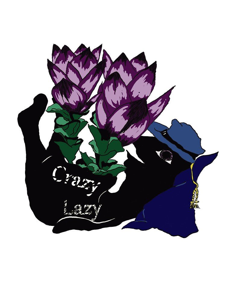 Crazy lazy by tardyreverseer