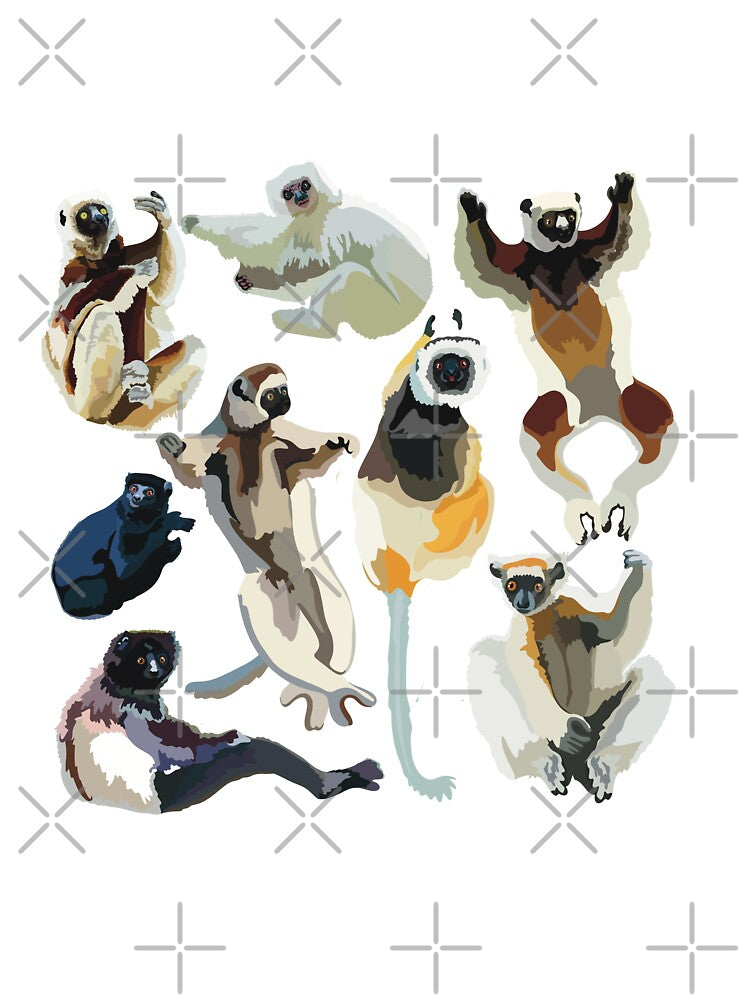 Sifaka Lemur by PrettylittlepastelUk