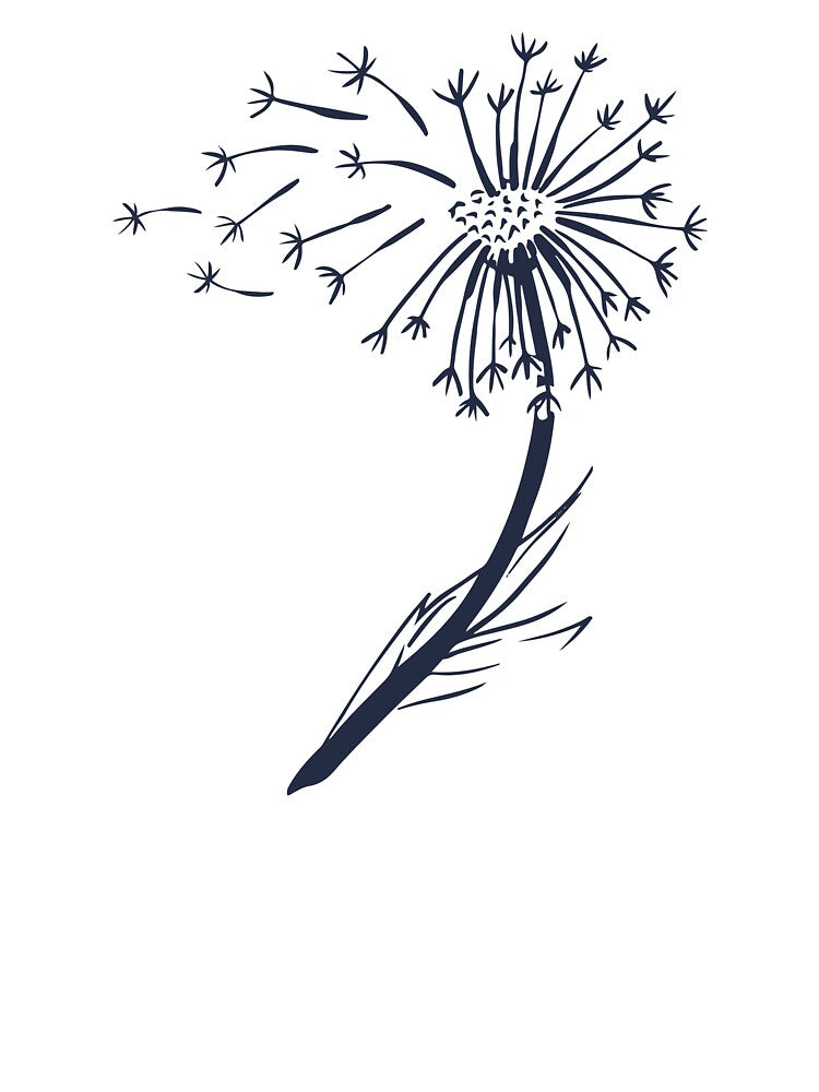 dandelion flower by zaher97