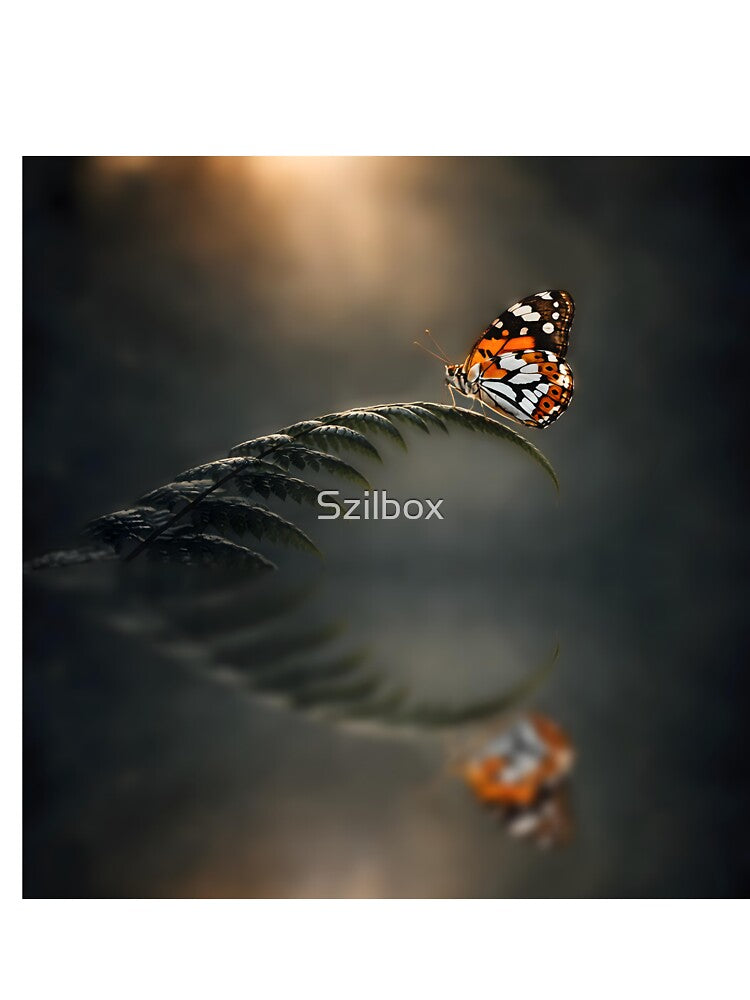 Orange butterfly by Szilbox