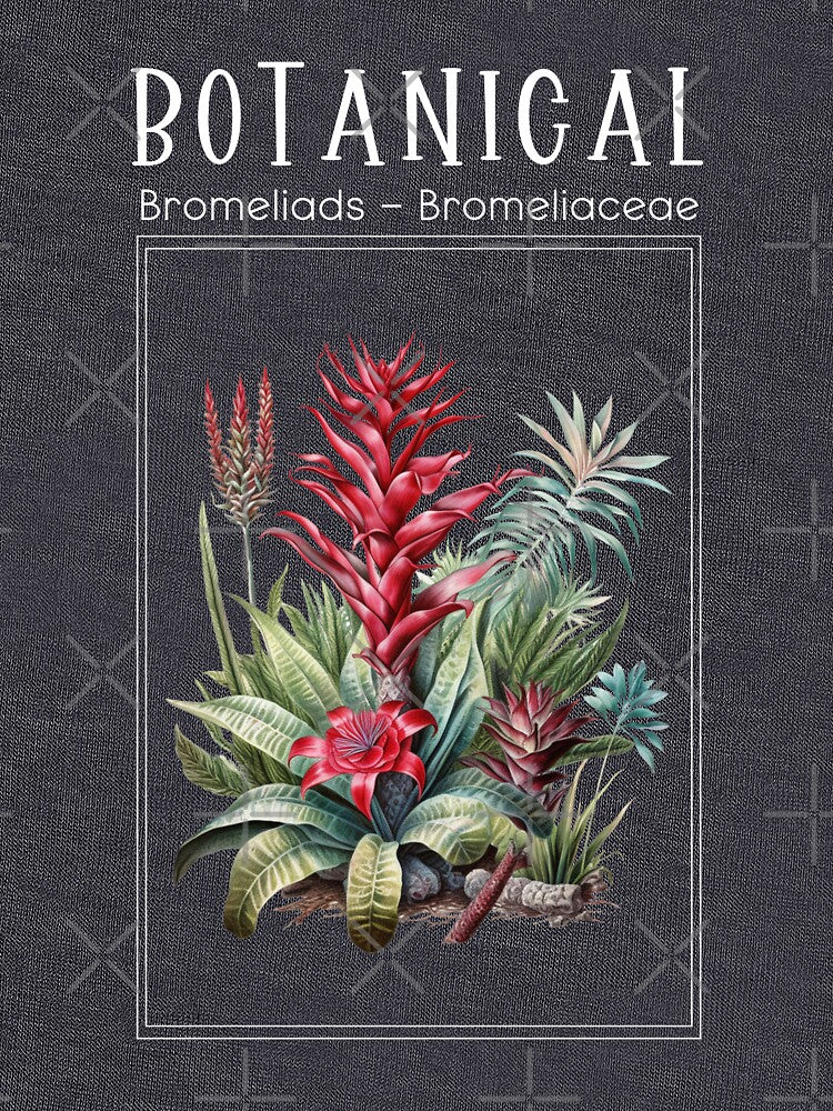 Bromeliads - Bromeliaceae - Botanical Collection by StudioRedKoala