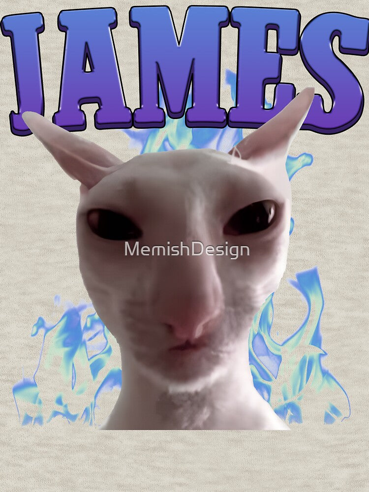 Funny James Cat Meme by MemishDesign
