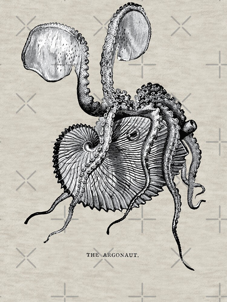 The Argonaut by GatorDesign