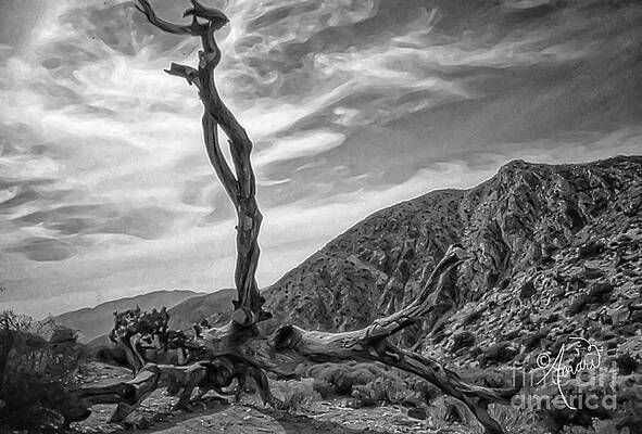 Reaching For The Stars Print