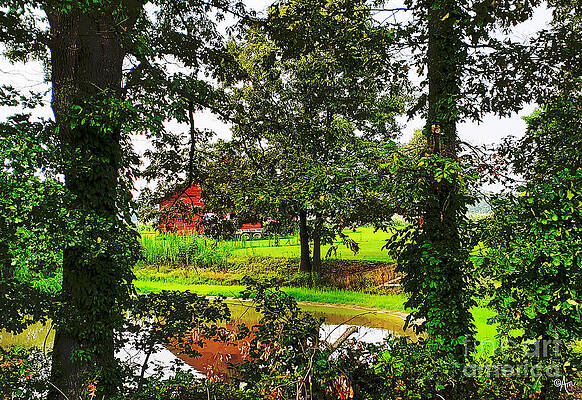 Red Barn Among The Trees Print