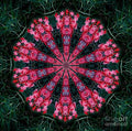 Red Rutin Digitalized Maple Print