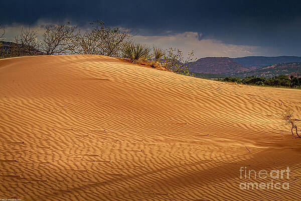 Sand Dune Print