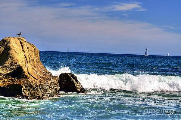 Seagull On Point Rock Print
