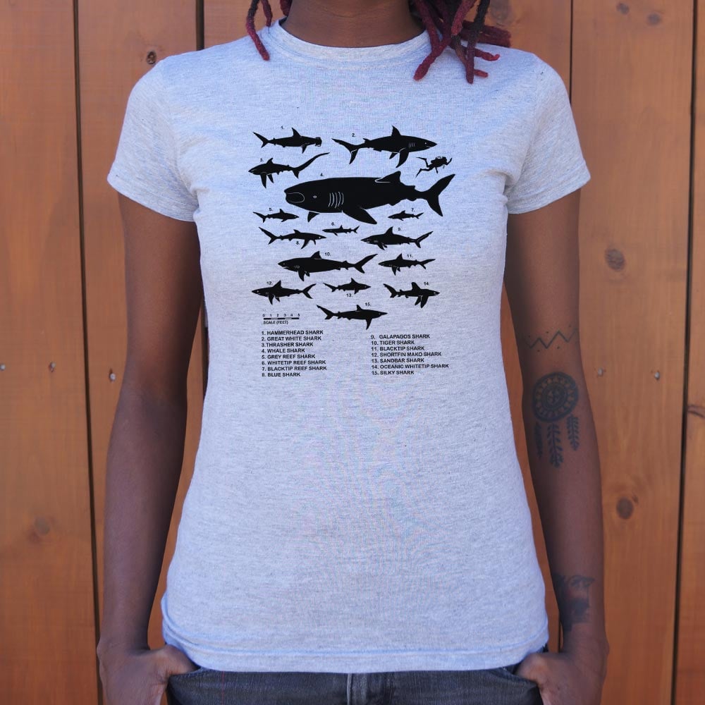 Shark Chart