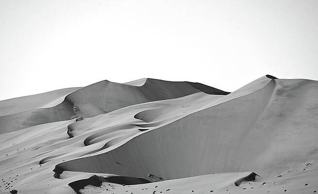 Sossuvlei Namibia Dune Wind Pattern In Black And White Print