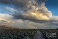 Spring Storm Nevada Print