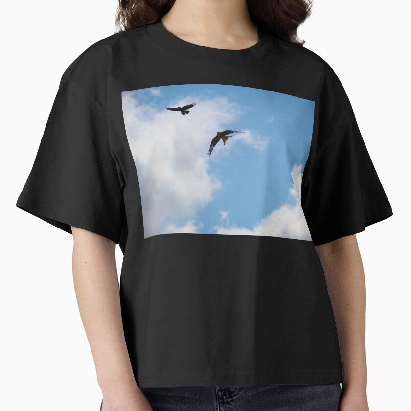 Red Kite and Crow Against Sunny Cloud by nikkysDesigns