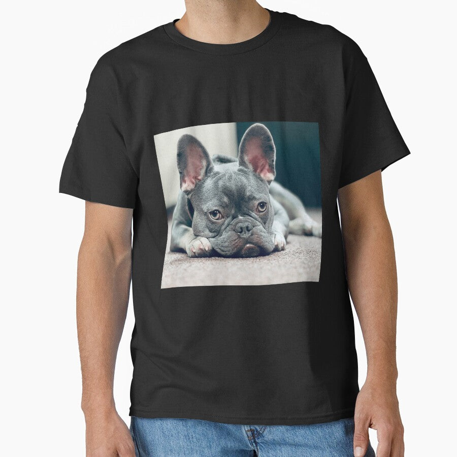 French Bulldog by Shellbelle44