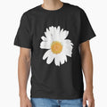 Shasta Daisy Flower by jeigeon