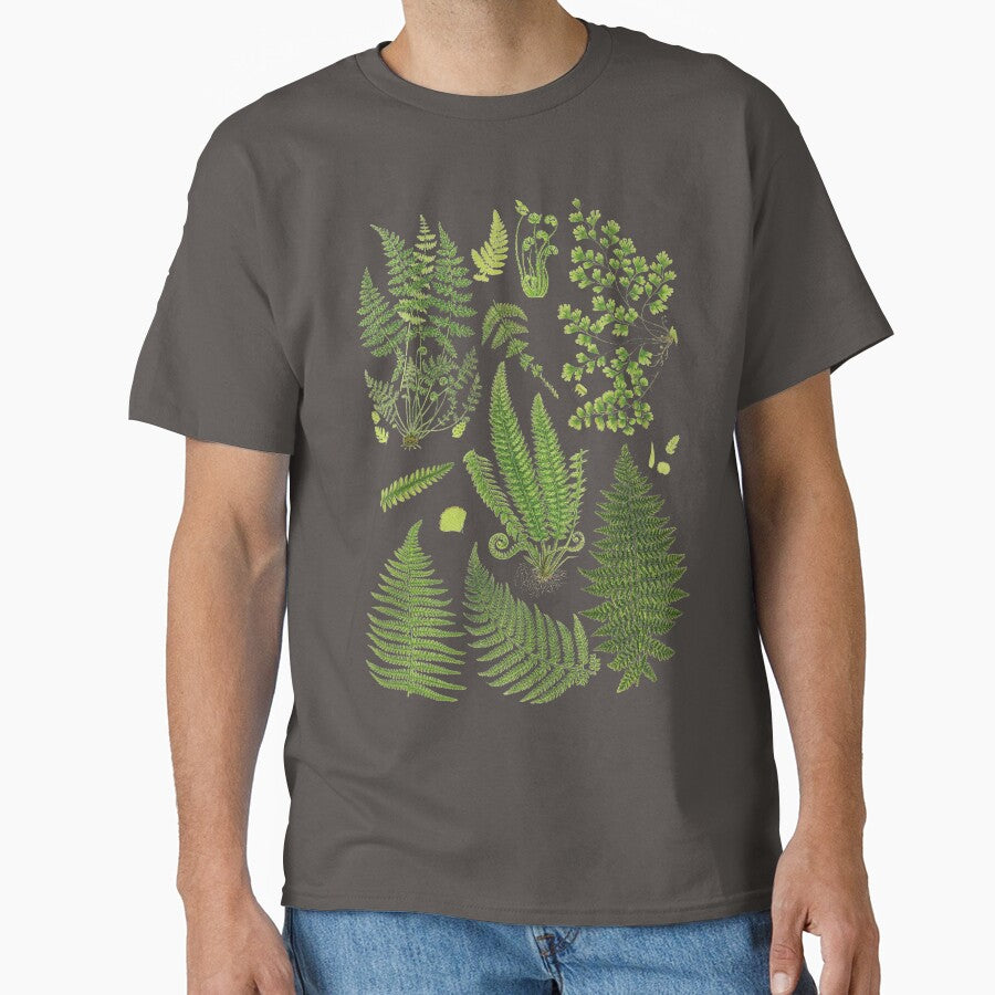 Fern Chart study by LeAllureVintage