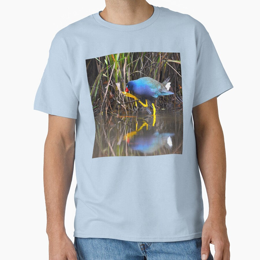 Purple Gallinule Photo Big Feet Small Twig by Pondside-Pics