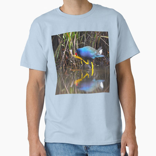 Purple Gallinule Photo Big Feet Small Twig by Pondside-Pics