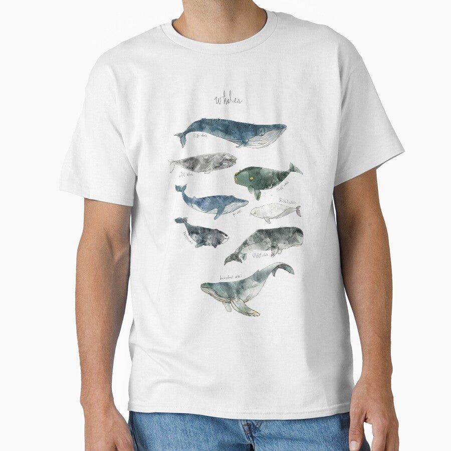 Whales by Amy Hamilton