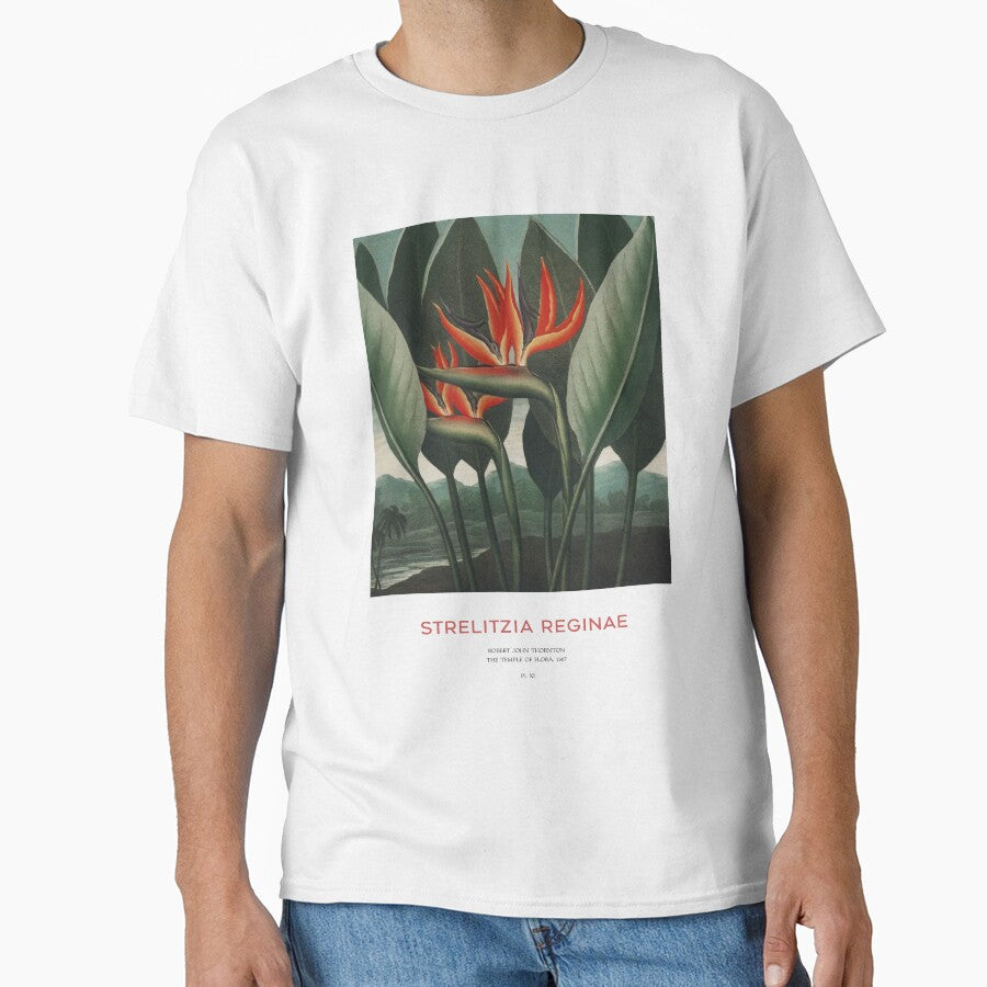 Crane Flower or Strelitzia Reginae by Vintagrafica