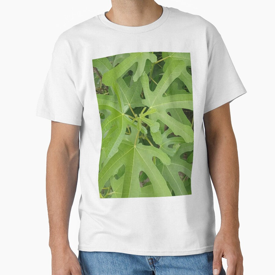 Fig Tree Leaves Closeup Photo by chucktownjax