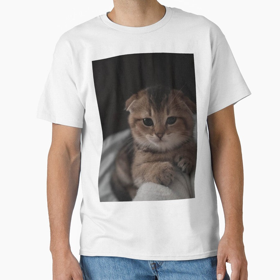 Golden Fold Kitten Portrait by Jesus-istheway
