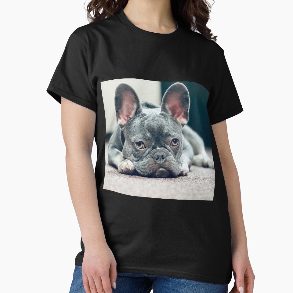 French Bulldog by Shellbelle44