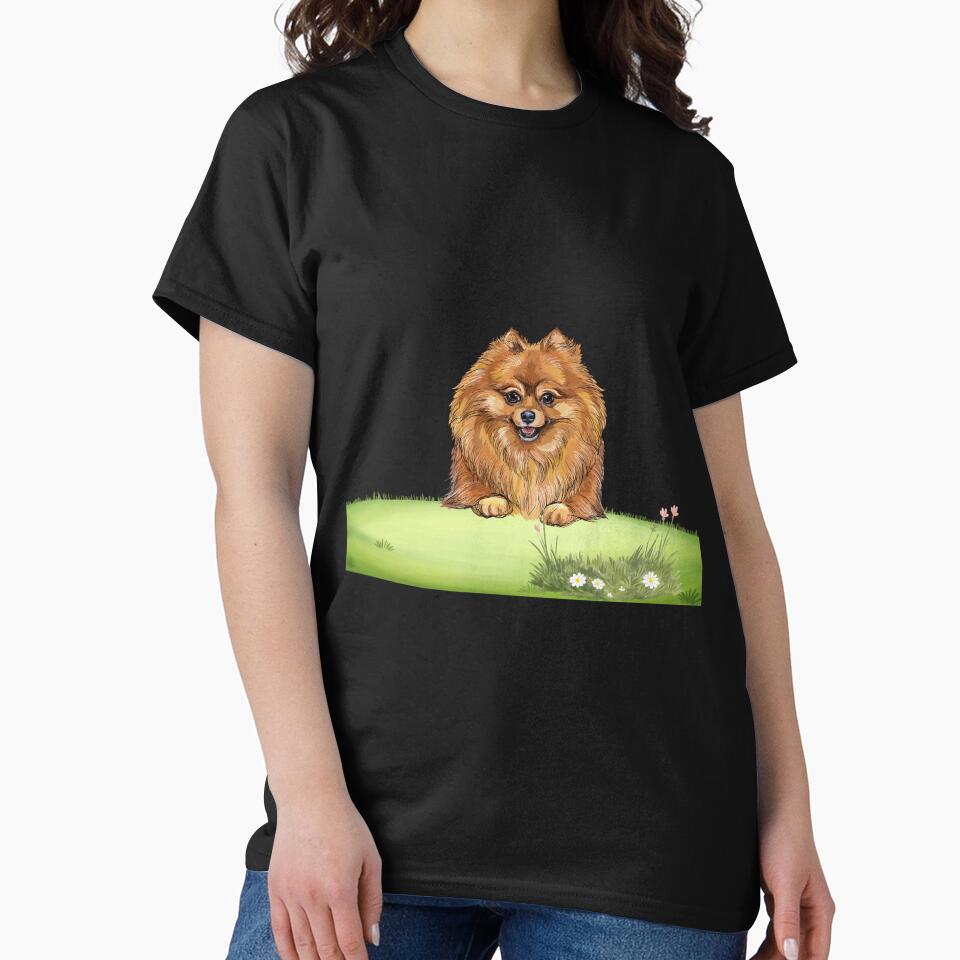 Pomeranian by Boummy
