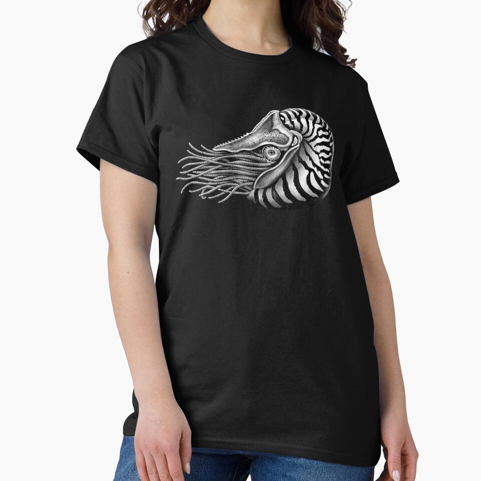 Nautilus by TimJeffsArt