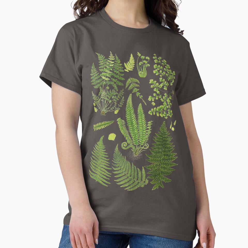 Fern Chart study by LeAllureVintage