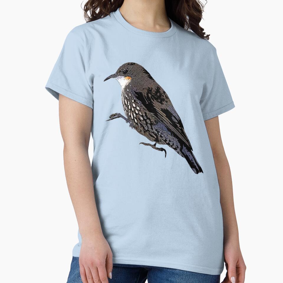 White-throated Treecreeper Color Design by designsasstultd
