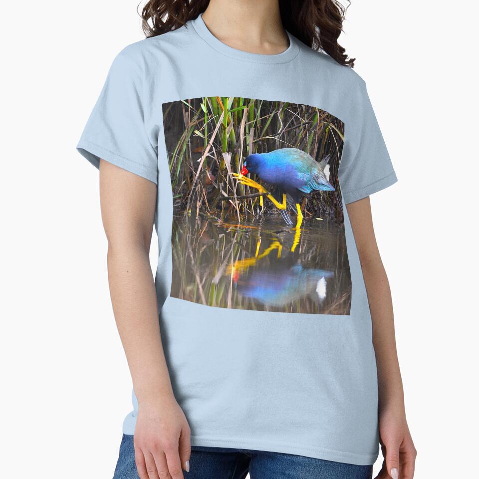 Purple Gallinule Photo Big Feet Small Twig by Pondside-Pics