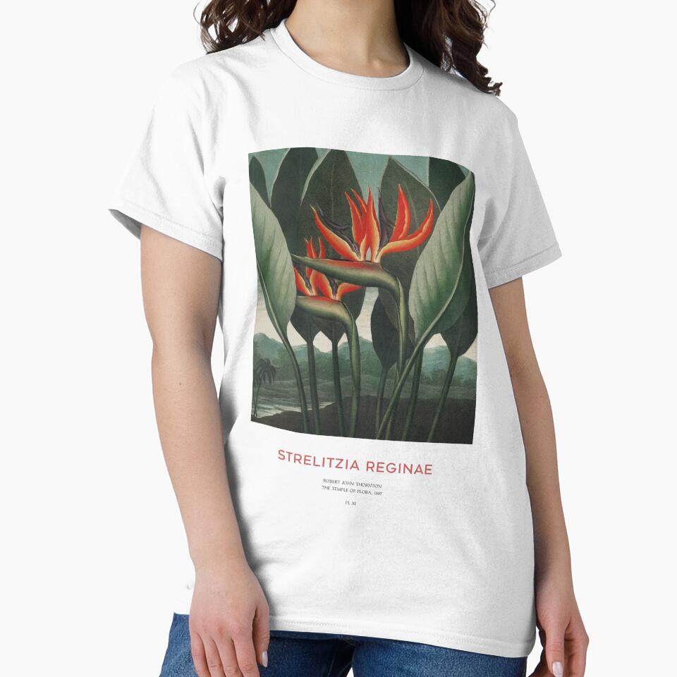 Crane Flower or Strelitzia Reginae by Vintagrafica