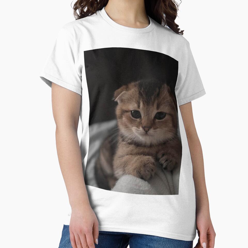 Golden Fold Kitten Portrait by Jesus-istheway
