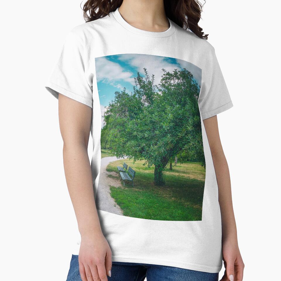 Summer Relax Park Tree Nature by eleonoraingrid