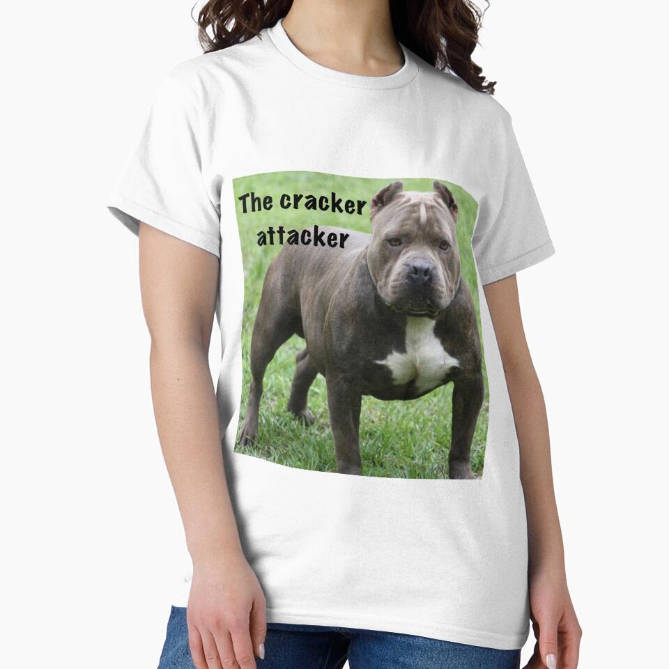 The cracker attacker by Funnymaybe