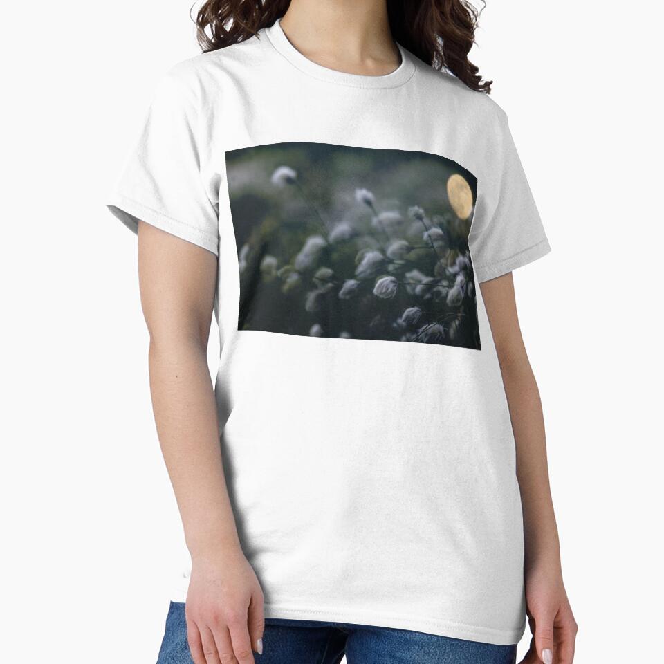 Cotton Flowers In The Moonlight by James DeFazio