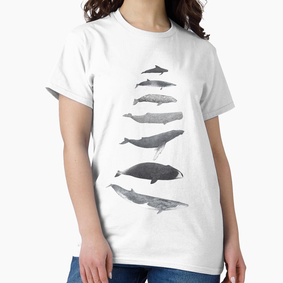Whale Wildlife Animal Species Illustration by Lauren Fitton Illustration