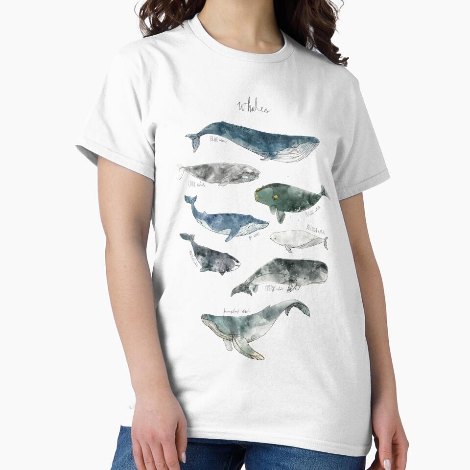 Whales by Amy Hamilton
