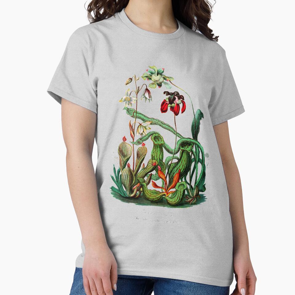 Carnivorous Plants  Vintage Sarracenia Botanical by bledi