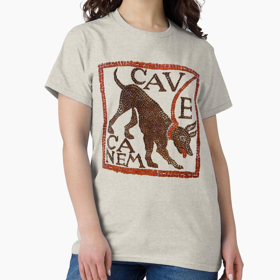Antique Roman Mosaic Cave Canem Beware The Dog by Pixelchicken